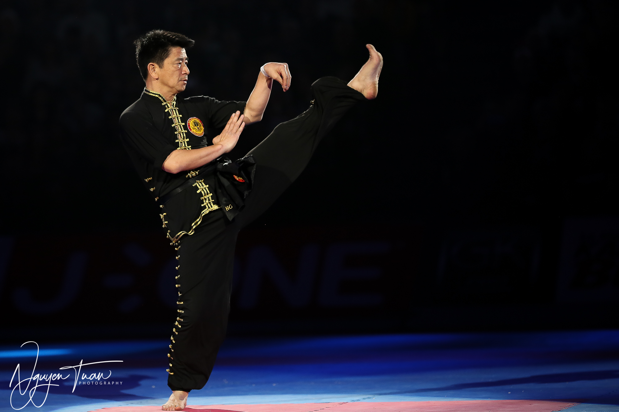 20190324 Festival des Arts Martiaux 4979